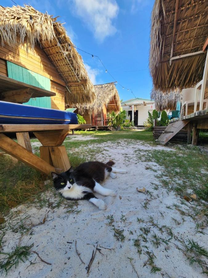 Saona Lodge Mano Juan Luaran gambar